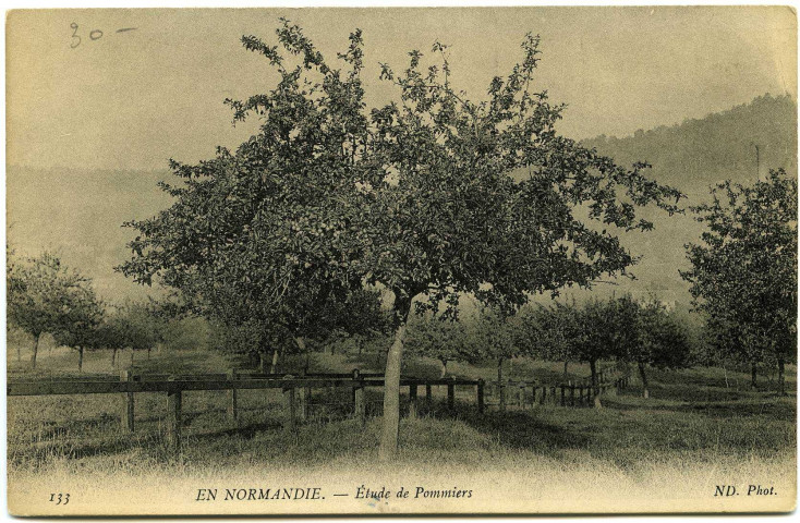 Divers. En Normandie. - Etude de Pommiers.