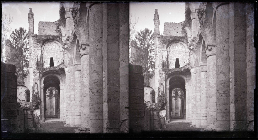 Ruines et vestiges de l'abbaye de Jumièges (Seine-Maritime).
