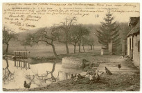 Conches-en-Ouche. La Vallée du Rouloir.
