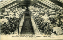 Evreux-Ville. Établissement Horticole de la Rochette - Triquet - Serre de Chrysanthèmes.