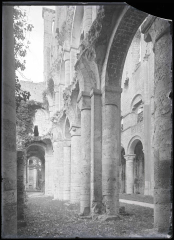 Ruines et vestiges de l'abbaye de Jumièges (Seine-Maritime).