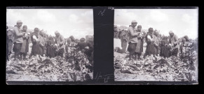 Marchands de feuilles de tabac au pied de la citadelle d'Alep (Syrie).