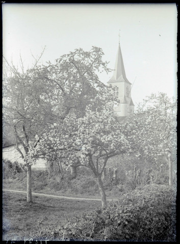 Clocher de l'église du Trait (Seine-Maritime) et pommiers en fleurs.