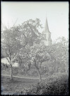 Clocher de l'église du Trait (Seine-Maritime) et pommiers en fleurs.