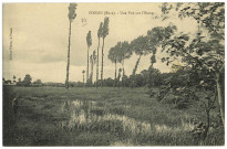 Illiers-l'Evêque. Pinson (Eure). - Une Vue sur l'Etang.