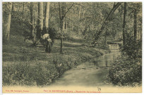 Radepont. Parc de Radepont (Eure) - Ensemble de la Cascade.
