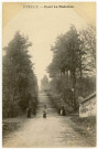Evreux-Ville. La Madeleine : Forêt de La Madeleine.