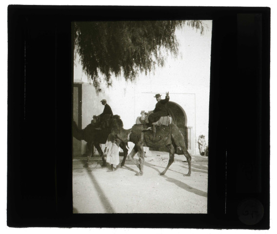 Le chanoine Bonnenfant sur un chameau aux environs de Kairouan (Tunisie).