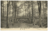 Gisors. Avenue et Pont des Soupirs.