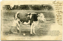 Divers. Scènes Normandes. - La Vache.