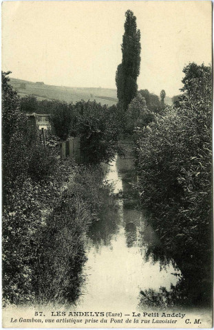 Andelys (Les). Petit Andely- Le Gambon, vue artistique prise du Pont de la Rue Lavoisier.