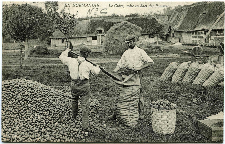 Divers. En Normandie. - Le Cidre, mise en Sacs des Pommes.