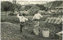 Divers. En Normandie. - Le Cidre, mise en Sacs des Pommes.