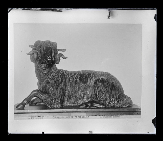 Sculpture représentant un bélier exposée au musée Arietta de Palerme en Sicile (Italie).