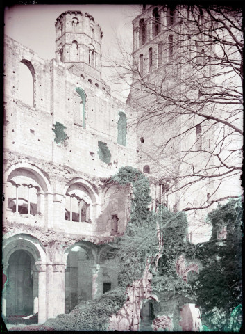 Ruines et vestiges de l'abbaye de Jumièges (Seine-Maritime).