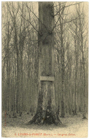 Lyons-la-Forêt. Le Gros Chêne.