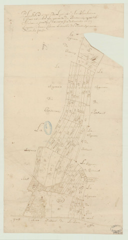 Bois-Anzeray - 1- "Plan et description de l'ainesse de La Blanchetière". *