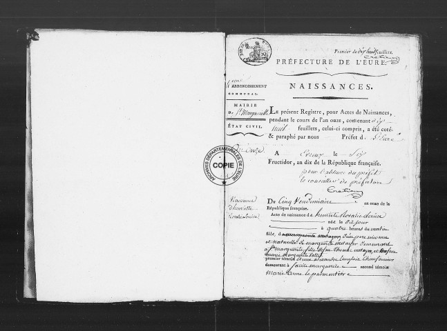 NMD (an XI-1812)