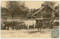 Bernay. Attelage de Boeufs.