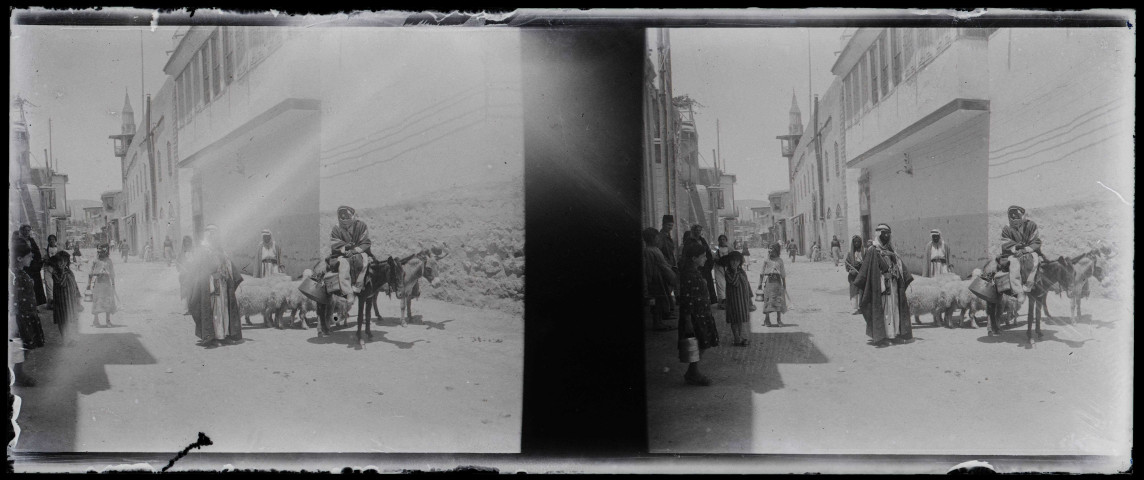 Bergers et leurs moutons dans les rues du Caire (Égypte).
