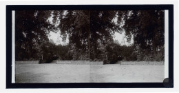 Jardin public, à l'arrière plan un mausolée.