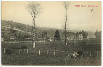 Rosay-sur-Lieure. Les Pâturages.