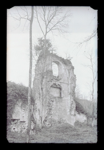 Ruines de l'abbaye de Fontaine-Guérard (Radepont, Eure).