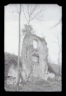 Ruines de l'abbaye de Fontaine-Guérard (Radepont, Eure).
