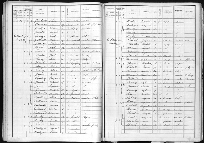 MEREY 1891