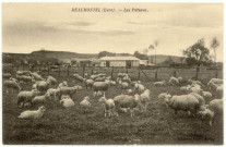Beaumontel. Les Pâtures.