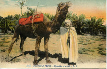 Chamelier et sa bête