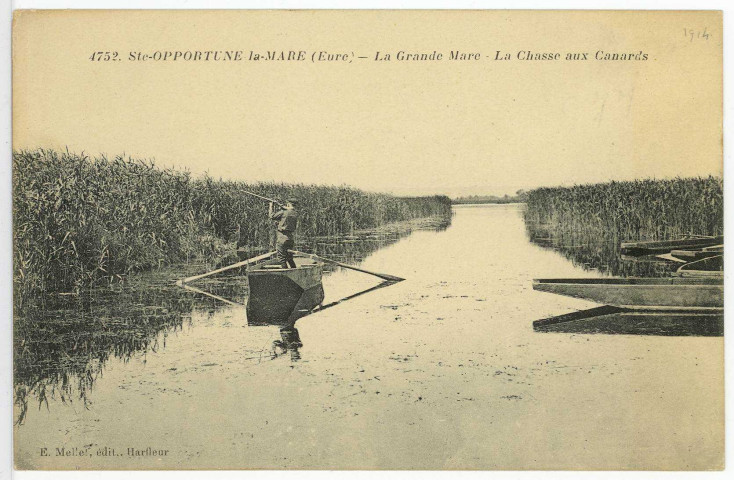 Sainte-Opportune-la-Mare. La Grande Mare - La Chasse aux Canards.