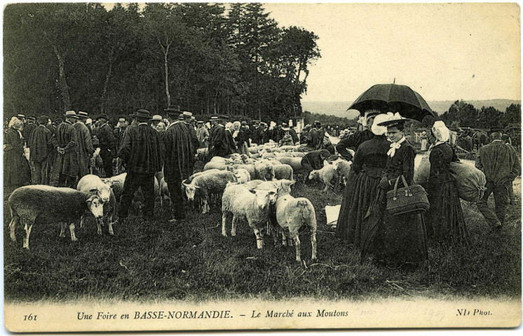 Basse-Normandie. Une Foire en Basse Normandie. - Le Marché aux Moutons.