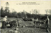 Divers. Scènes de la Vie Normande. - Visite à la Ferme : Servantes abreuvant les veaux.