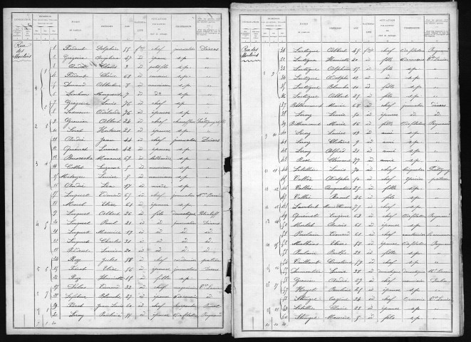 PITRES 1901