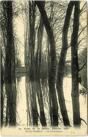 Andelys (Les). Crue de la Seine, Janvier 1910 - Petit Andely Les promenades.