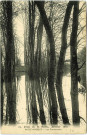 Andelys (Les). Crue de la Seine, Janvier 1910 - Petit Andely Les promenades.