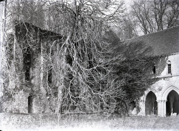 photogrpahie représentant un bâtiment religieux (cloître ?) dissimulé en partie par des arbres.