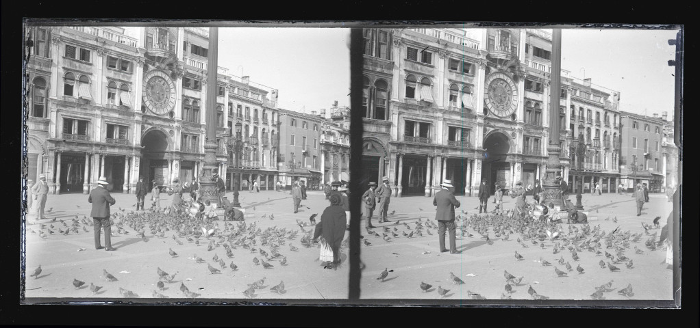 Pigeons et horloge de la place Saint-Marc de Venise (Italie).