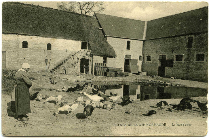 Divers. Scènes de la Vie Normande. - La basse-cour.