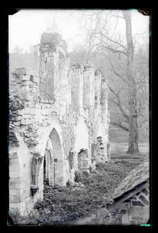 Ruines de l'abbaye de Mortemer (Lisors, Eure).