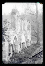 Ruines de l'abbaye de Mortemer (Lisors, Eure).