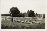 Houlbec. Le Cimetière Le Berger et les Moutons du Président.