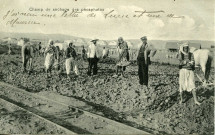 Champ de séchage des phosphates