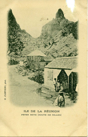 ILE DE LA REUNION - PETER BOTH (ROUTE DE CILAOS)