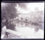 Canaux et lavoirs des environs de Maillezais (Vendée).