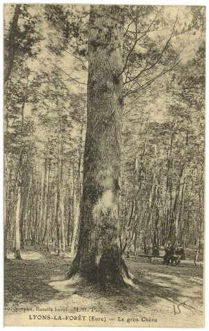 Lyons-la-Forêt. Le Gros Chêne.