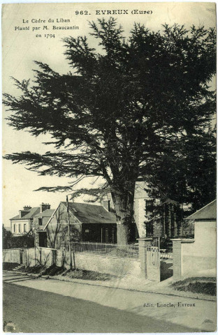 Evreux-Ville. Le Cèdre du Liban planté par M Beaucantin en 1794.