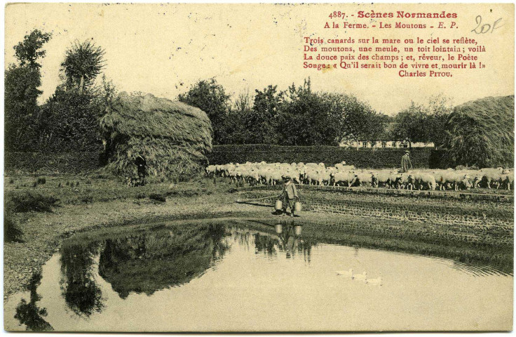 Divers. Scènes Normandes. - A la Ferme. - Les Moutons.