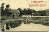 Divers. Scènes Normandes. - A la Ferme. - Les Moutons.